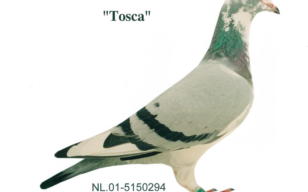 “Tosca”
