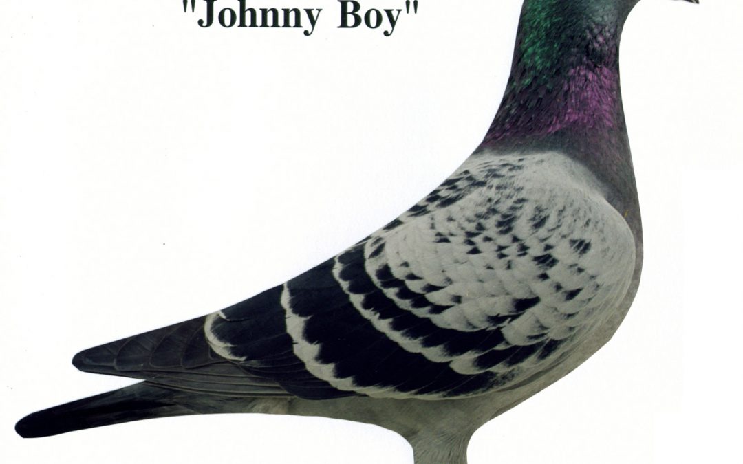 “Johnny Boy”